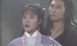 新包青天之再世情仇