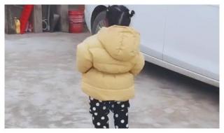 脱缰野马是什么意思 脱缰野马是什么意思